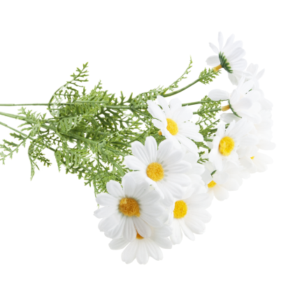 Künstliche Gänseblümchen, Gänseblümchen, Chrysanthemen, Kamille, Blumenstrauß