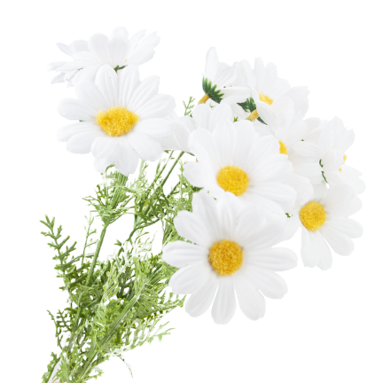 Künstliche Gänseblümchen, Gänseblümchen, Chrysanthemen, Kamille, Blumenstrauß