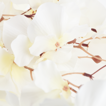 CV32583-1 DEKORATIVEN ZWEIG ANHÄNGER HOCHZEIT FRÜHLING OSTERN