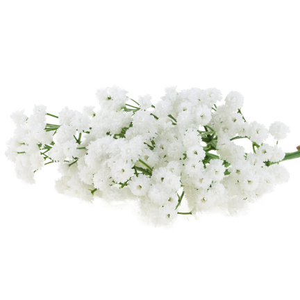 CV32934-1 GYPSOPHILA BOUQUET X5 DEKORATIVEN ZWEIG MIT BLUMEN FÜR VASE ZUSAMMENSETZUNG