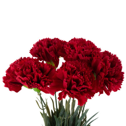CV33067-4 NELKEN STRAUSS NELKEN DICHTE ZWEIGE BLÄTTER STIELE BLUMEN WIE LEBENDIG