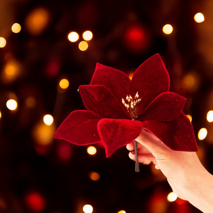 CV34101-6 STERN VON BETHLEHEM AUF SPITZE VELOUR POINSETTIA WEIHNACHTSBAUM
