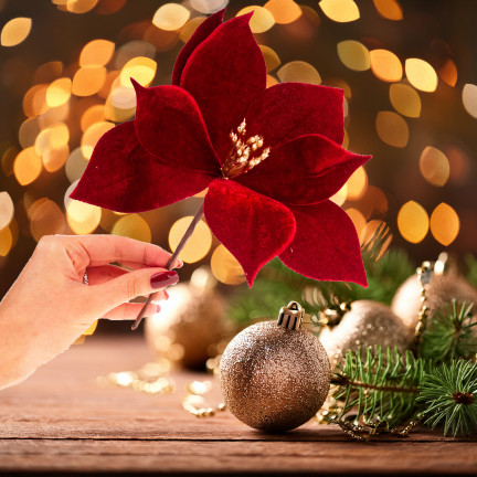 CV34101-6 STERN VON BETHLEHEM AUF SPITZE VELOUR POINSETTIA WEIHNACHTSBAUM