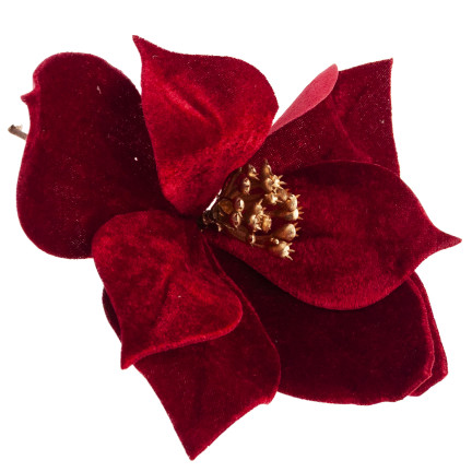 CV34101-6 STERN VON BETHLEHEM AUF SPITZE VELOUR POINSETTIA WEIHNACHTSBAUM