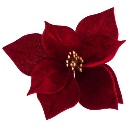 CV34101-6 STERN VON BETHLEHEM AUF SPITZE VELOUR POINSETTIA WEIHNACHTSBAUM