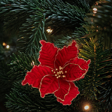 CV34186-6 Weihnachtsstern, Poinsettia-Blüte für den Weihnachtsbaum, groß, auf einem Stiel, Dekoration