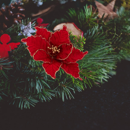 CV34186-6 Weihnachtsstern, Poinsettia-Blüte für den Weihnachtsbaum, groß, auf einem Stiel, Dekoration