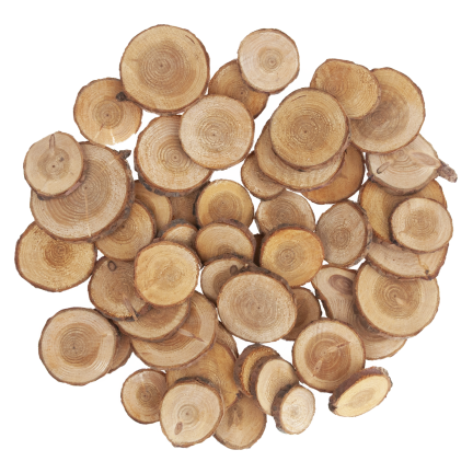 CV34574 Holzscheiben, Natur-Dekoration, im Beutel, DIY, Basteln