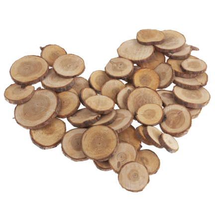 CV34574 Holzscheiben, Natur-Dekoration, im Beutel, DIY, Basteln