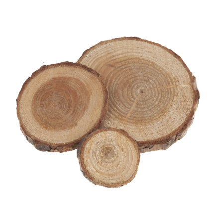 CV34574 Holzscheiben, Natur-Dekoration, im Beutel, DIY, Basteln
