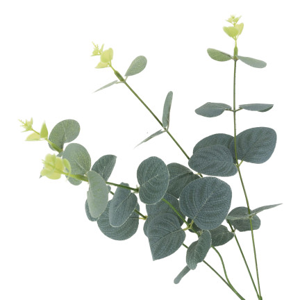 CV34936 EUKALIPTUS BLATTSTRAUSS 40CM STRASSENFÜLLER
