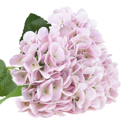 Hortensienstrauß, Kunstblumen, Real Touch, realistisch, rosa