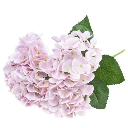 Hortensienstrauß, Kunstblumen, Real Touch, realistisch, rosa