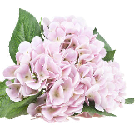 Hortensienstrauß, Kunstblumen, Real Touch, realistisch, rosa