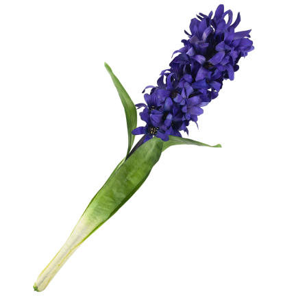 CV34985-3 Künstliche Zierpflanzen HIACINT, violette Kunstblumen, für Schilfkomposition