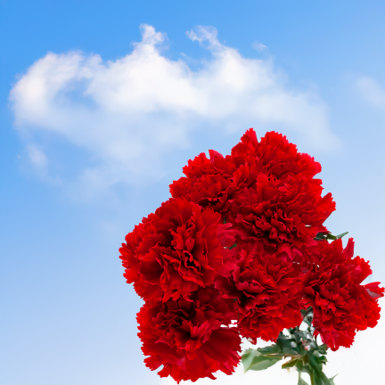 CV35341-2 KÜNSTLICHE BLUMEN NELKEN FRÜHLINGSSTRAUSS DEKORATIVES LAUB SCHILF NELKE