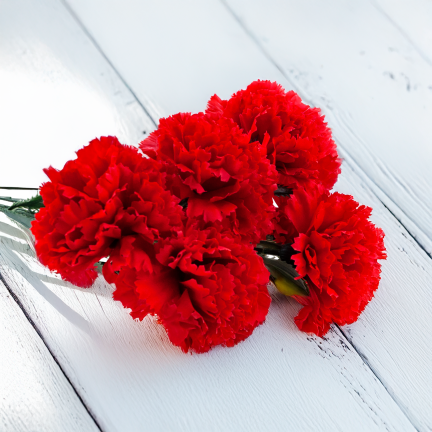 CV35341-2 KÜNSTLICHE BLUMEN NELKEN FRÜHLINGSSTRAUSS DEKORATIVES LAUB SCHILF NELKE