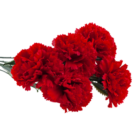 CV35341-2 KÜNSTLICHE BLUMEN NELKEN FRÜHLINGSSTRAUSS DEKORATIVES LAUB SCHILF NELKE