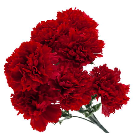 CV35341-2 KÜNSTLICHE BLUMEN NELKEN FRÜHLINGSSTRAUSS DEKORATIVES LAUB SCHILF NELKE