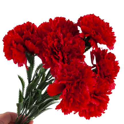 CV35341-2 KÜNSTLICHE BLUMEN NELKEN FRÜHLINGSSTRAUSS DEKORATIVES LAUB SCHILF NELKE