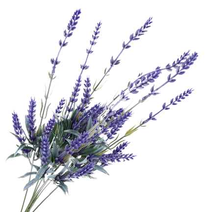 CV35471 KÜNSTLICHER LAVENDELBLUMENSTRAUSS 48 CM 7 ZWEIGE DEKORATIV REALISTISCH