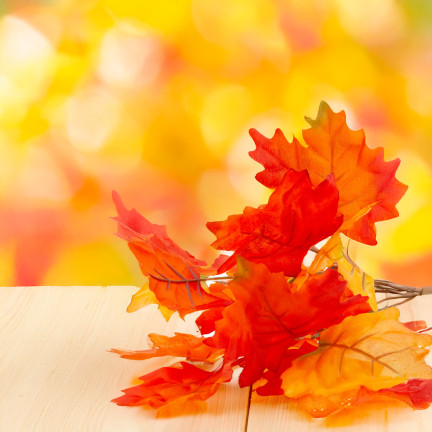 CV36041 KÜNSTLICHE HERBSTBLÄTTER FÜR KOMPOSITION BLUMENSTRAUSS VON BLÄTTERN SCHILF HERBST ZWEIG