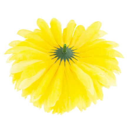 CV36941-6 CHRYSANTHEMUM GROSSEN KOPF DER WAHL BLUMEN PREMIUM GELB