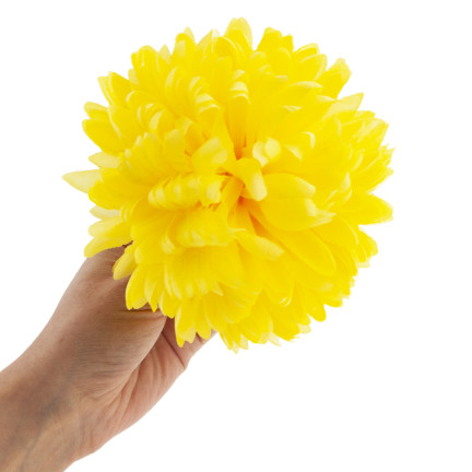 CV36941-6 CHRYSANTHEMUM GROSSEN KOPF DER WAHL BLUMEN PREMIUM GELB