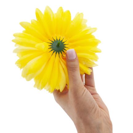 CV36941-6 CHRYSANTHEMUM GROSSEN KOPF DER WAHL BLUMEN PREMIUM GELB