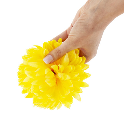 CV36941-6 CHRYSANTHEMUM GROSSEN KOPF DER WAHL BLUMEN PREMIUM GELB