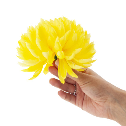 CV36941-6 CHRYSANTHEMUM GROSSEN KOPF DER WAHL BLUMEN PREMIUM GELB