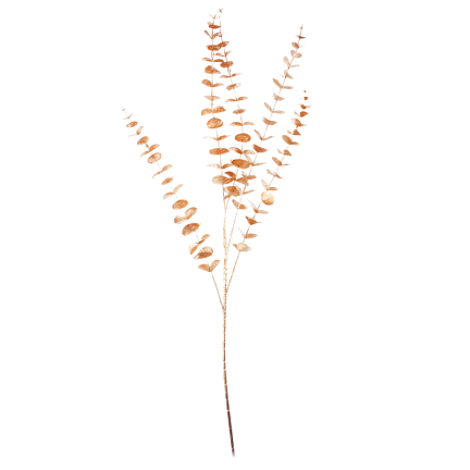 CV36967 Goldfarbener Eukalyptus-Zierzweig