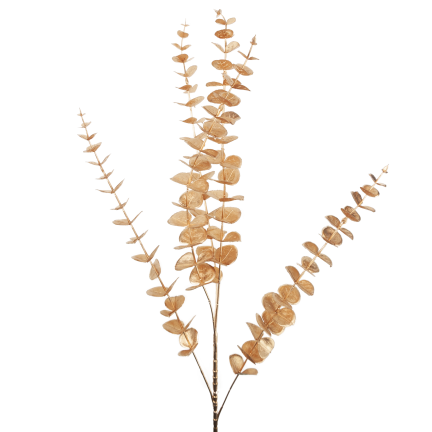 CV36967 Goldfarbener Eukalyptus-Zierzweig