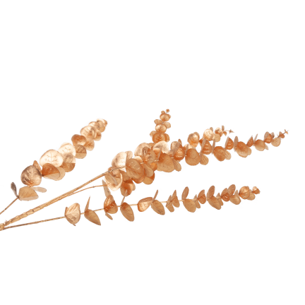 CV36967 Goldfarbener Eukalyptus-Zierzweig
