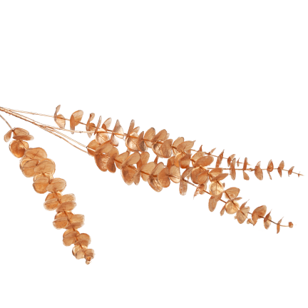 CV36967 Goldfarbener Eukalyptus-Zierzweig