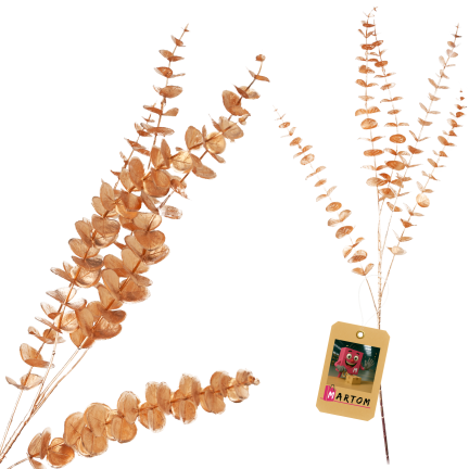 CV36967 Goldfarbener Eukalyptus-Zierzweig