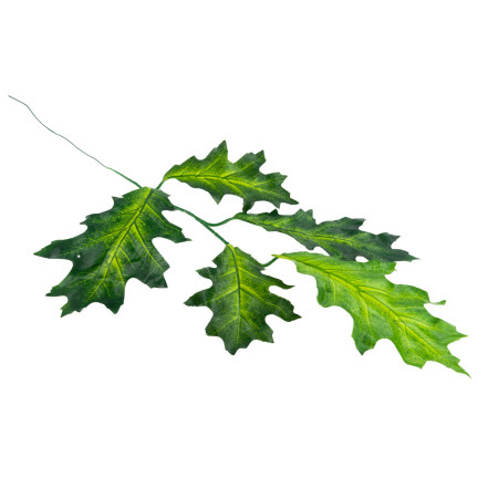 CV37331 ZWEIG EICHENBLÄTTER KÜNSTLICH FÜR BLUMENSTRAUSS ZUSAMMENSETZUNG ALS LIVE FÜR BLATT SCHILF