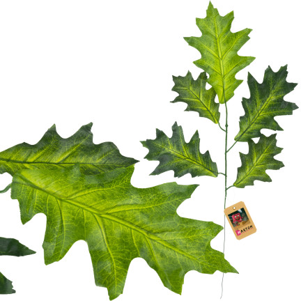 CV37331 ZWEIG EICHENBLÄTTER KÜNSTLICH FÜR BLUMENSTRAUSS ZUSAMMENSETZUNG ALS LIVE FÜR BLATT SCHILF