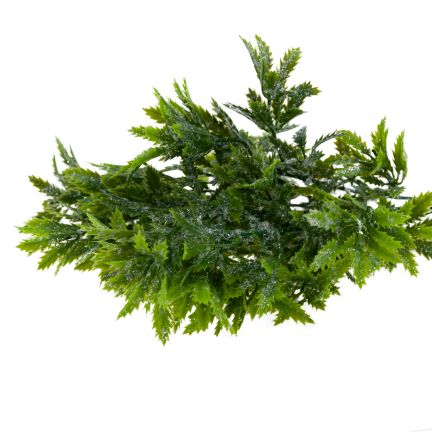 CV37612 – Strauß aus dekorativen Weihnachtszweigen – üppige Dekoration mit Glitzer und Schneeeffekt
