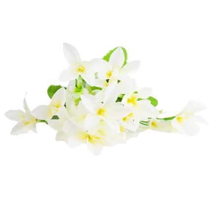 CV38046-1 SAFRAN BOUQUET 7 ZWEIGE BLÄTTER GRAS WEISS DICHT