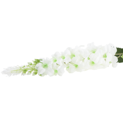 CV38306-1 STECHPALMENZWEIG WEISS LANG BLUMENSTRAUSS SCHILF