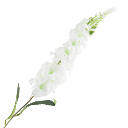 CV38306-1 STECHPALMENZWEIG WEISS LANG BLUMENSTRAUSS SCHILF