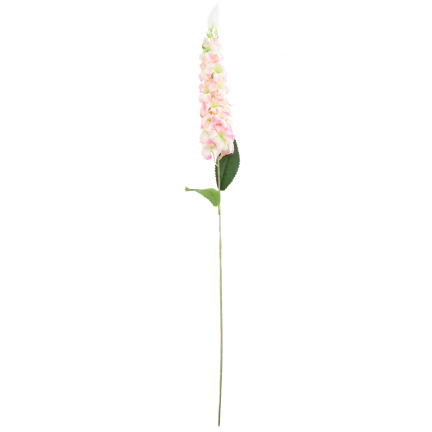 CV38306-2 ROSA ZWEIG STECHPALME LANGE BLUME STRAUSS SCHILF