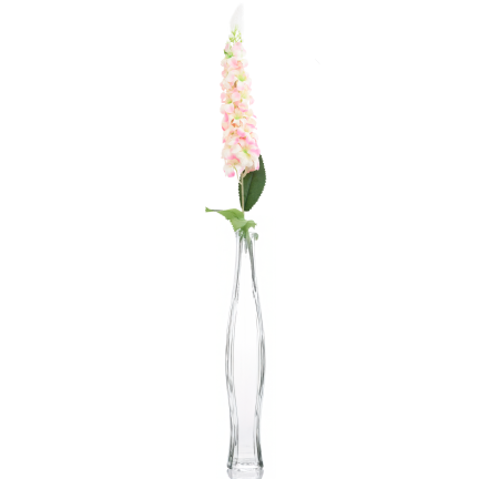 CV38306-2 ROSA ZWEIG STECHPALME LANGE BLUME STRAUSS SCHILF