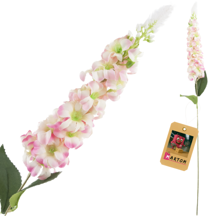 CV38306-2 ROSA ZWEIG STECHPALME LANGE BLUME STRAUSS SCHILF