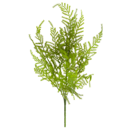 CV38574 BLUMENSTRAUSS AUS GRÜNEN ZWEIGEN SPARGELBLÄTTER GRÜN X5