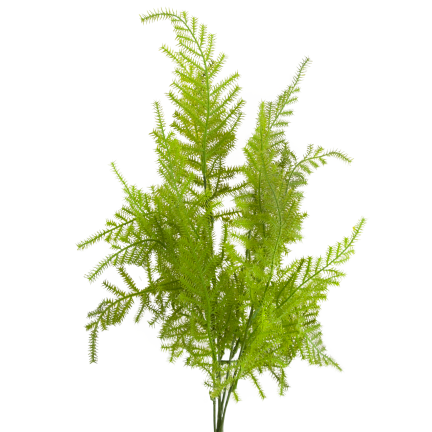 CV38574 BLUMENSTRAUSS AUS GRÜNEN ZWEIGEN SPARGELBLÄTTER GRÜN X5