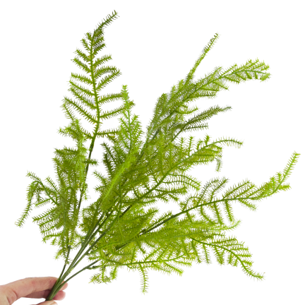 CV38574 BLUMENSTRAUSS AUS GRÜNEN ZWEIGEN SPARGELBLÄTTER GRÜN X5