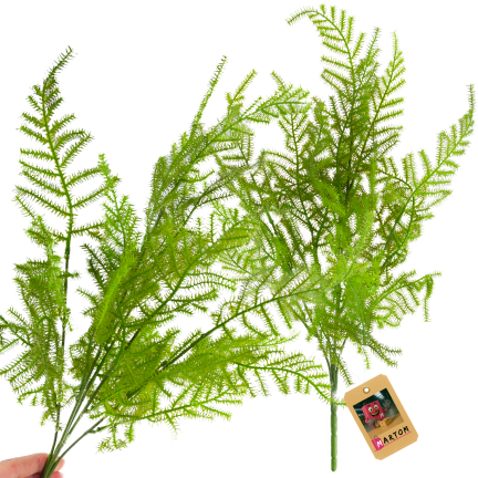 CV38574 BLUMENSTRAUSS AUS GRÜNEN ZWEIGEN SPARGELBLÄTTER GRÜN X5