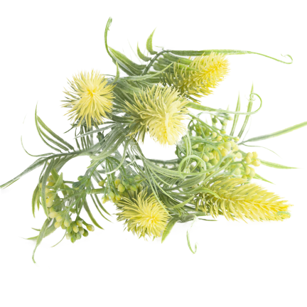 CV38674-2 BUNCH GRASBLÄTTER OSET BLUMEN x 5 GELB
